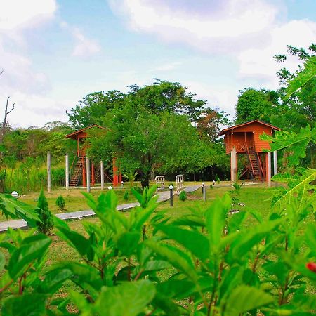 Sigiri Royal Point Tree House 호텔 시기리야 외부 사진