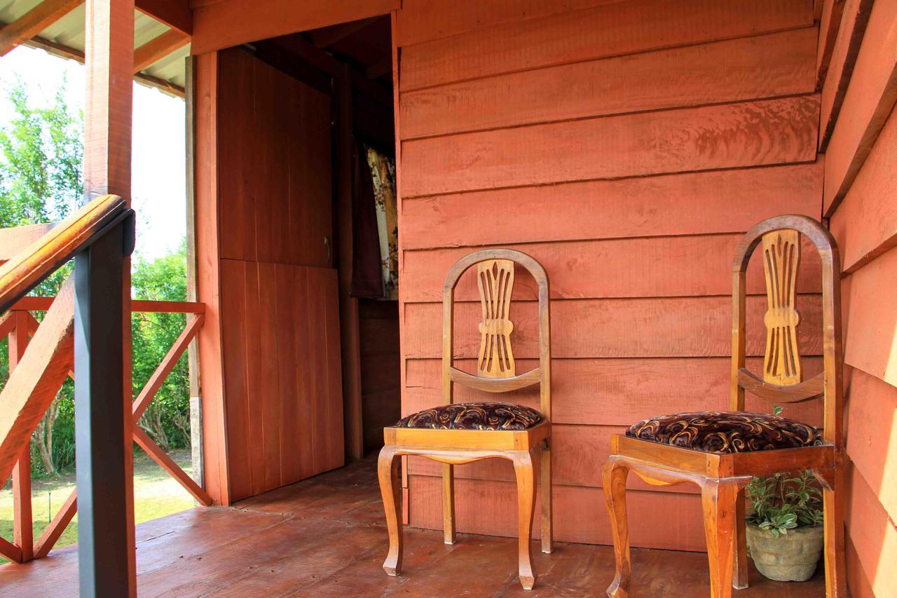 Sigiri Royal Point Tree House 호텔 시기리야 외부 사진