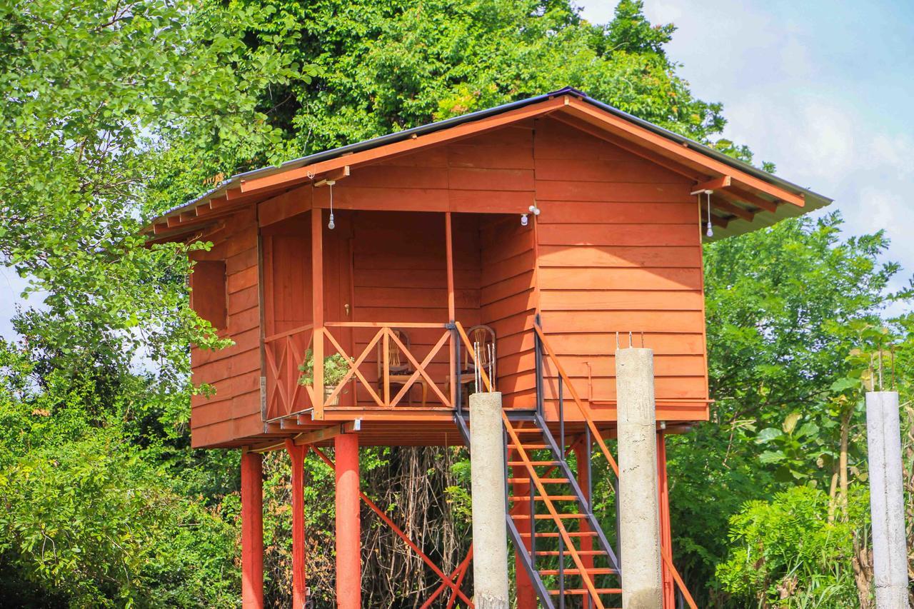 Sigiri Royal Point Tree House 호텔 시기리야 외부 사진