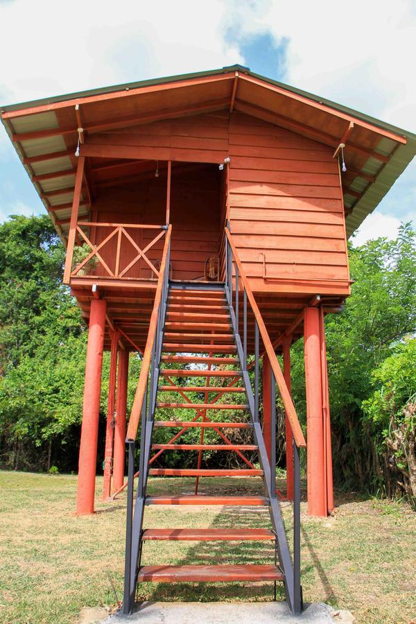 Sigiri Royal Point Tree House 호텔 시기리야 외부 사진