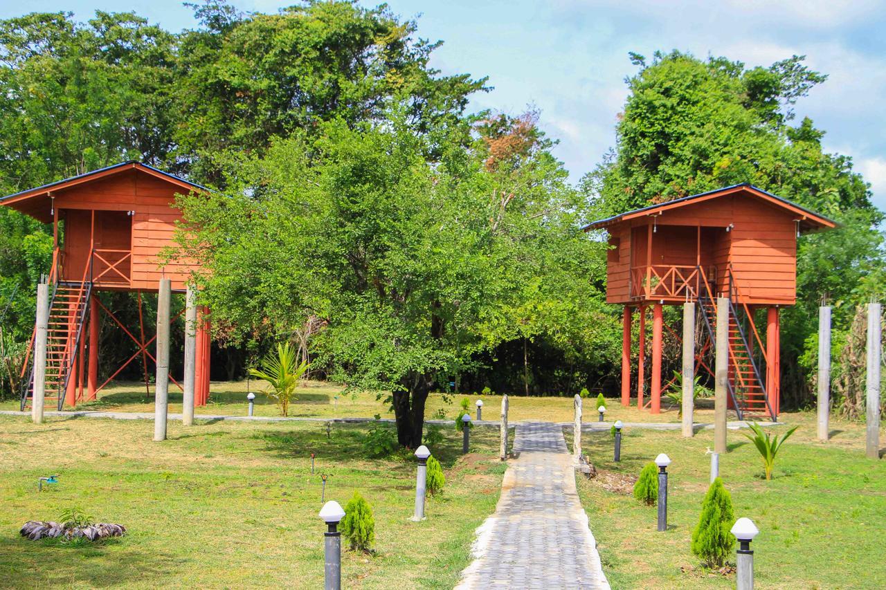 Sigiri Royal Point Tree House 호텔 시기리야 외부 사진