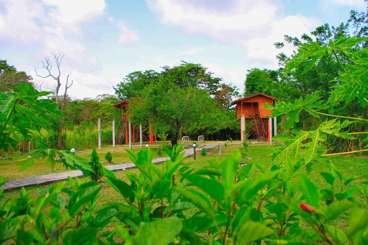 Sigiri Royal Point Tree House 호텔 시기리야 외부 사진