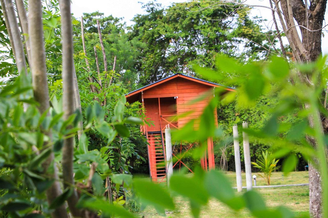 Sigiri Royal Point Tree House 호텔 시기리야 외부 사진
