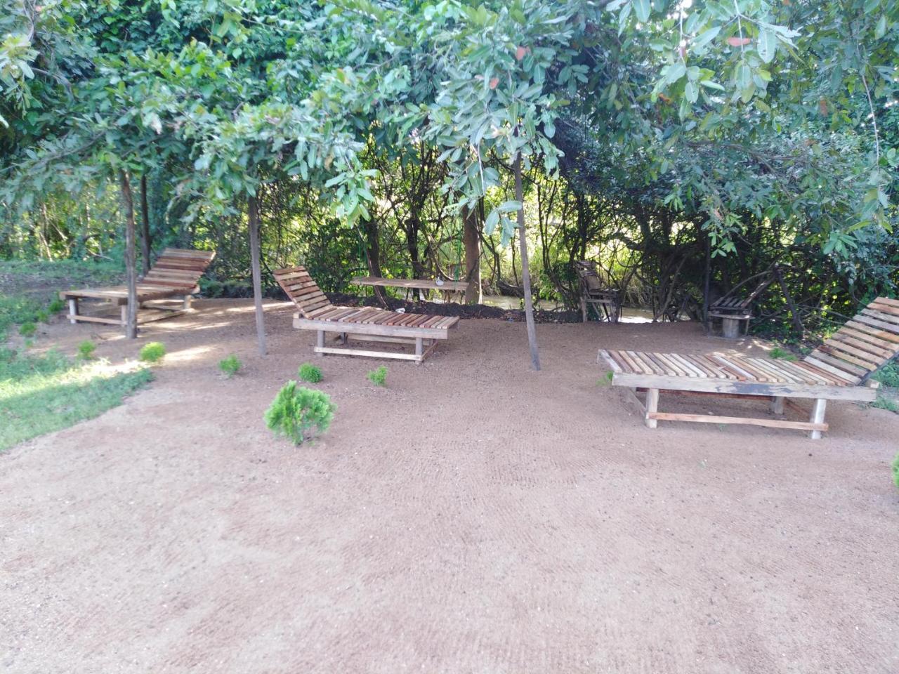 Sigiri Royal Point Tree House 호텔 시기리야 외부 사진