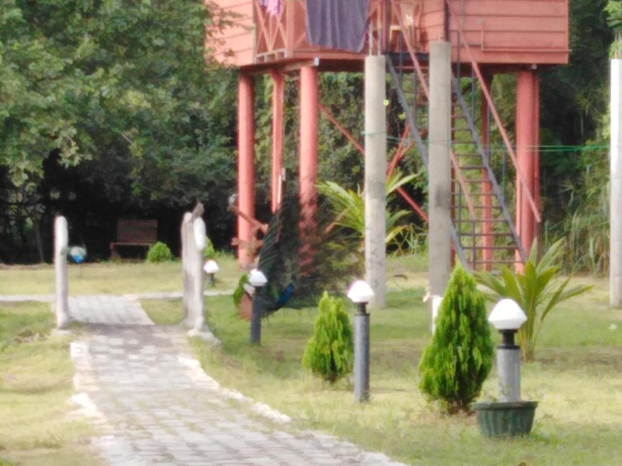 Sigiri Royal Point Tree House 호텔 시기리야 외부 사진
